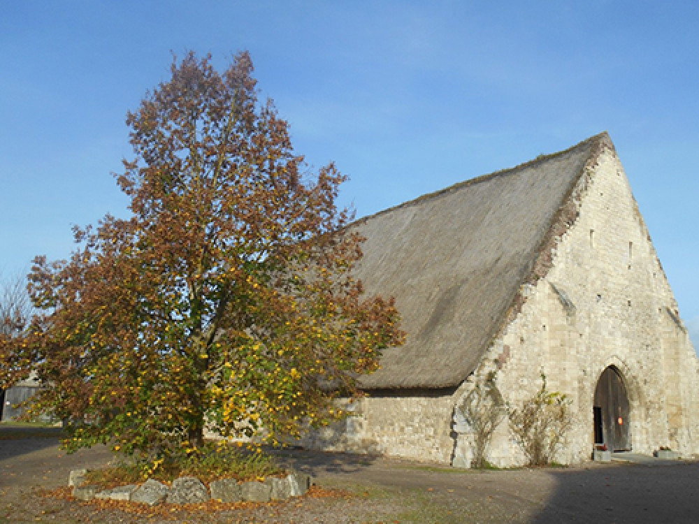 site