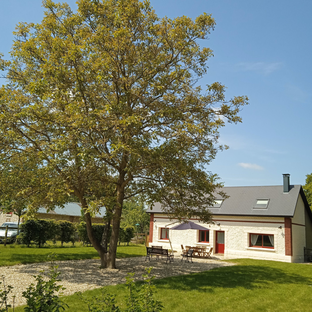 site