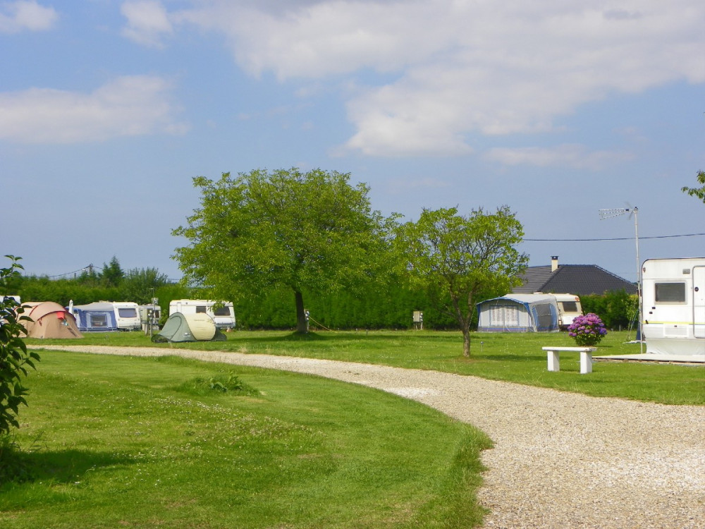 site