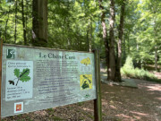36714